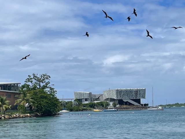 La Canopee Enchantee, Chambres D'Hotes, Piscine, Proche Aeroport, Gare Maritime Les Abymes Exterior foto